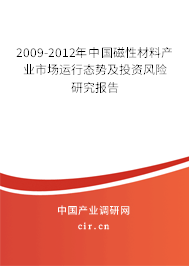 2009-2012年中國磁性材料產(chǎn)業(yè)市場運行態(tài)勢及投資風險研究報告