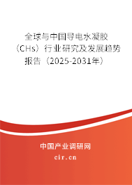 全球與中國導(dǎo)電水凝膠（CHs）行業(yè)研究及發(fā)展趨勢報告（2025-2031年）