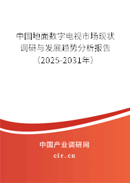 中國地面數(shù)字電視市場現(xiàn)狀調(diào)研與發(fā)展趨勢分析報告（2025-2031年）