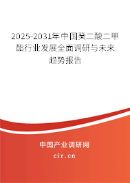 2025-2031年中國癸二酸二甲酯行業(yè)發(fā)展全面調(diào)研與未來趨勢報告