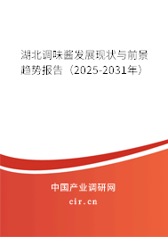 湖北調(diào)味醬發(fā)展現(xiàn)狀與前景趨勢報告（2025-2031年）