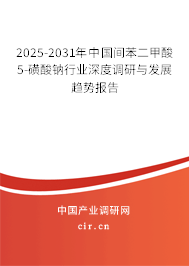 2025-2031年中國間苯二甲酸5-磺酸鈉行業(yè)深度調研與發(fā)展趨勢報告