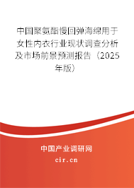 中國聚氨酯慢回彈海綿用于女性內(nèi)衣行業(yè)現(xiàn)狀調(diào)查分析及市場前景預(yù)測報告（2025年版）