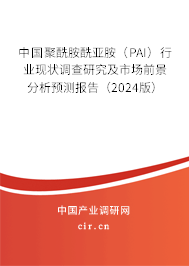 中國聚酰胺酰亞胺（PAI）行業(yè)現(xiàn)狀調(diào)查研究及市場前景分析預(yù)測報(bào)告（2024版）