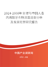 2024-2030年全球與中國(guó)人造丙烯酸牙市場(chǎng)深度調(diào)查分析及發(fā)展前景研究報(bào)告