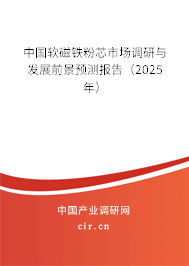 中國軟磁鐵粉芯市場調(diào)研與發(fā)展前景預(yù)測報(bào)告（2025年）