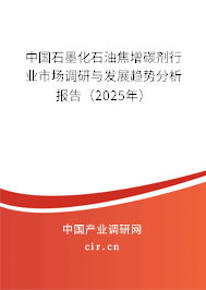 中國石墨化石油焦增碳劑行業(yè)市場調(diào)研與發(fā)展趨勢分析報告（2025年）