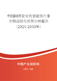 中國網(wǎng)絡安全托管服務行業(yè)市場調(diào)研與前景分析報告（2025-2030年）