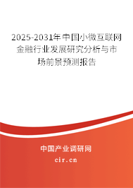 2025-2031年中國小微互聯(lián)網(wǎng)金融行業(yè)發(fā)展研究分析與市場前景預(yù)測報(bào)告
