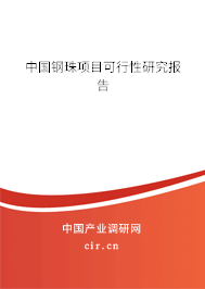 中國(guó)鋼珠項(xiàng)目可行性研究報(bào)告