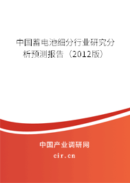 中國蓄電池細分行業(yè)研究分析預測報告（2012版）