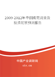 2009-2012年中國套筒調查及投資前景預測報告