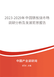 2023-2029年中國鐵板燒市場調研分析及發(fā)展前景報告