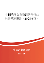 中國扁嘴鉗市場調(diào)研與行業(yè)前景預(yù)測報告（2025年版）