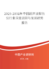 2025-2031年中國(guó)超聲波探傷儀行業(yè)深度調(diào)研與發(fā)展趨勢(shì)報(bào)告