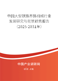 中國大型鐵路養(yǎng)路機(jī)械行業(yè)發(fā)展研究與前景趨勢報告（2025-2031年）