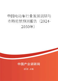 中國(guó)電動(dòng)車行業(yè)發(fā)展調(diào)研與市場(chǎng)前景預(yù)測(cè)報(bào)告（2024-2030年）
