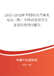 2025-2031年中國電動汽車充電站（樁）市場調(diào)查研究與發(fā)展前景預(yù)測報告