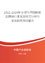 2022-2028年全球與中國膈肌起搏器行業(yè)發(fā)展研究分析與發(fā)展趨勢預(yù)測報告