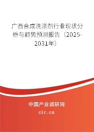 廣西合成洗滌劑行業(yè)現(xiàn)狀分析與趨勢(shì)預(yù)測(cè)報(bào)告（2025-2031年）