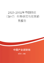 2025-2031年中國硅烷（SiH?）市場研究與前景趨勢報(bào)告
