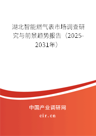 湖北智能燃?xì)獗硎袌稣{(diào)查研究與前景趨勢報(bào)告（2025-2031年）