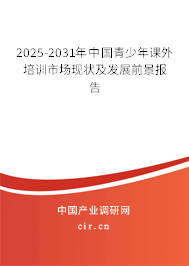2025-2031年中國(guó)青少年課外培訓(xùn)市場(chǎng)現(xiàn)狀及發(fā)展前景報(bào)告