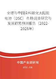 全球與中國染料敏化太陽能電池（DSC）市場調(diào)查研究與發(fā)展趨勢預(yù)測報告（2022-2028年）