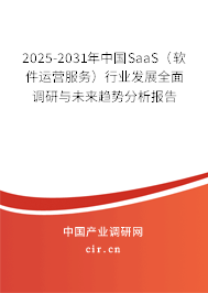 2025-2031年中國SaaS（軟件運(yùn)營服務(wù)）行業(yè)發(fā)展全面調(diào)研與未來趨勢分析報告