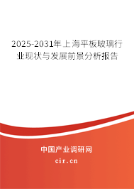 2025-2031年上海平板玻璃行業(yè)現(xiàn)狀與發(fā)展前景分析報(bào)告