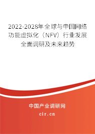 2022-2028年全球與中國網(wǎng)絡(luò)功能虛擬化（NFV）行業(yè)發(fā)展全面調(diào)研及未來趨勢