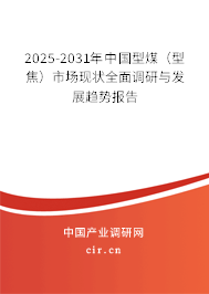 2025-2031年中國型煤（型焦）市場現(xiàn)狀全面調(diào)研與發(fā)展趨勢報告
