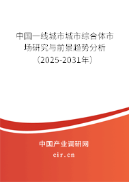中國一線城市城市綜合體市場研究與前景趨勢分析（2025-2031年）