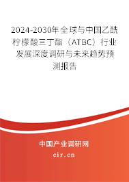 2024-2030年全球與中國乙酰檸檬酸三丁酯（ATBC）行業(yè)發(fā)展深度調(diào)研與未來趨勢預(yù)測報告
