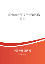 中國音響產(chǎn)品項目投資咨詢報告