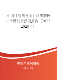 中國注射用谷胱甘肽用藥行業(yè)市場前景預(yù)測(cè)報(bào)告（2023-2029年）