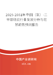 2025-2031年中國(guó)（氯）-二甲基硅烷行業(yè)發(fā)展分析與前景趨勢(shì)預(yù)測(cè)報(bào)告