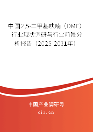 中國2,5-二甲基呋喃（DMF）行業(yè)現(xiàn)狀調(diào)研與行業(yè)前景分析報告（2025-2031年）