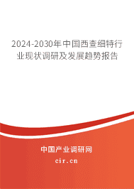 2023-2029年中國西查細特行業(yè)現(xiàn)狀調研及發(fā)展趨勢報告