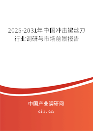 2025-2031年中國沖擊螺絲刀行業(yè)調(diào)研與市場前景報告