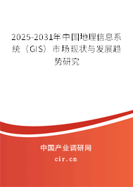 2025-2031年中國地理信息系統(tǒng)（GIS）市場(chǎng)現(xiàn)狀與發(fā)展趨勢(shì)研究