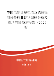 中國電能計量電流互感器檢測設(shè)備行業(yè)現(xiàn)狀調(diào)研分析及市場前景預(yù)測報告（2025版）