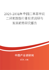 2025-2031年中國二苯基甲烷二異氰酸酯行業(yè)現(xiàn)狀調(diào)研與發(fā)展趨勢研究報告