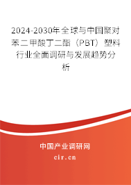 2024-2030年全球與中國聚對苯二甲酸丁二酯（PBT）塑料行業(yè)全面調(diào)研與發(fā)展趨勢分析