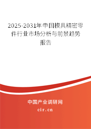 2025-2031年中國(guó)模具精密零件行業(yè)市場(chǎng)分析與前景趨勢(shì)報(bào)告