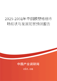 2025-2031年中國模塑格柵市場現(xiàn)狀與發(fā)展前景預測報告