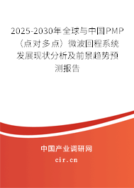 2025-2030年全球與中國PMP（點對多點）微波回程系統(tǒng)發(fā)展現(xiàn)狀分析及前景趨勢預測報告