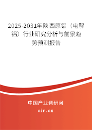 2025-2031年陜西原鋁（電解鋁）行業(yè)研究分析與前景趨勢預(yù)測報告