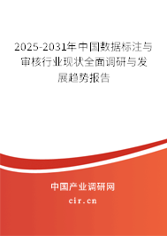 2025-2031年中國(guó)數(shù)據(jù)標(biāo)注與審核行業(yè)現(xiàn)狀全面調(diào)研與發(fā)展趨勢(shì)報(bào)告