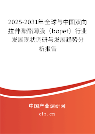 2025-2031年全球與中國雙向拉伸聚酯薄膜（bopet）行業(yè)發(fā)展現(xiàn)狀調(diào)研與發(fā)展趨勢分析報告